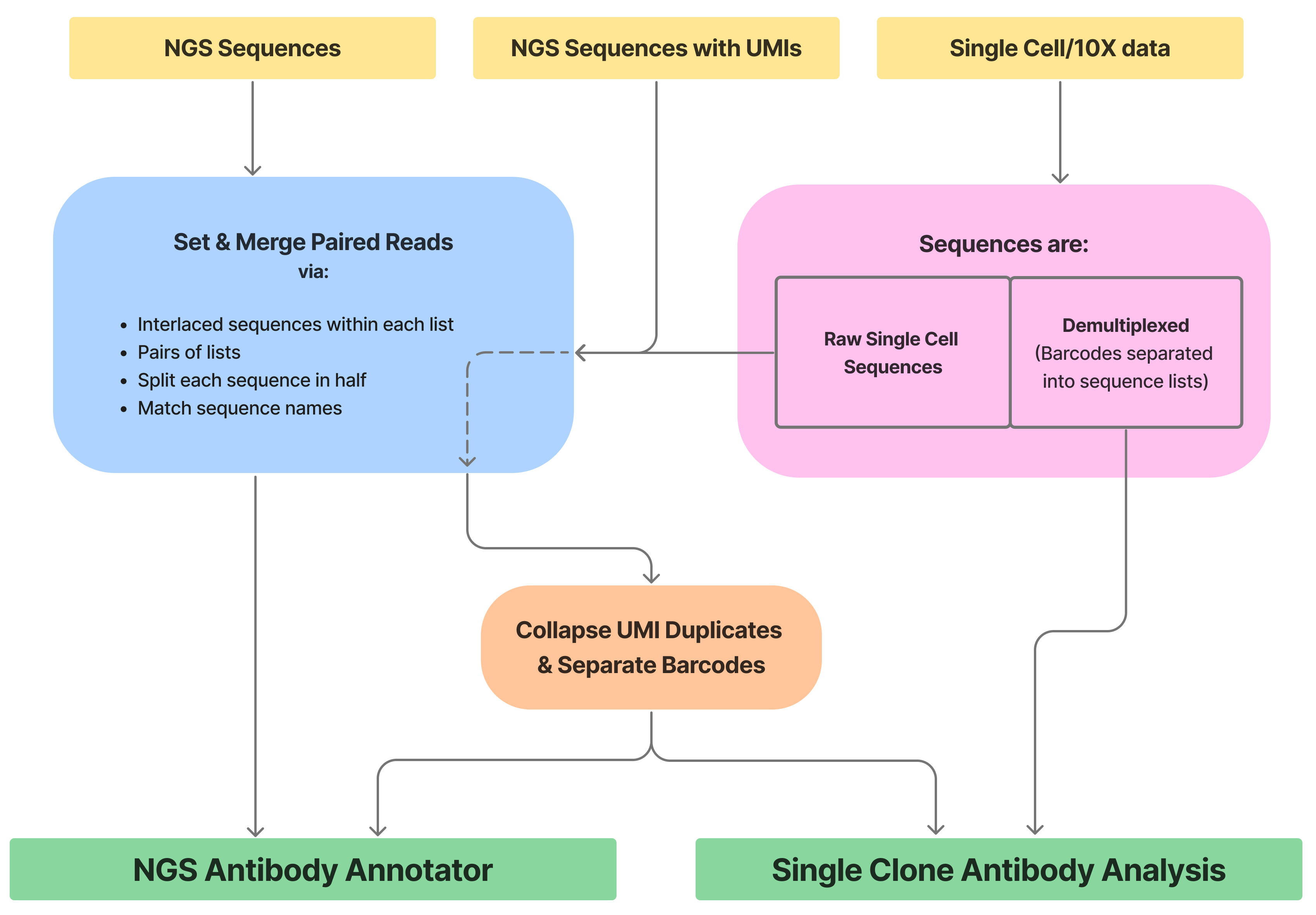 Workflows and Flowcharts for Antibody Analysis – Geneious Biologics Support