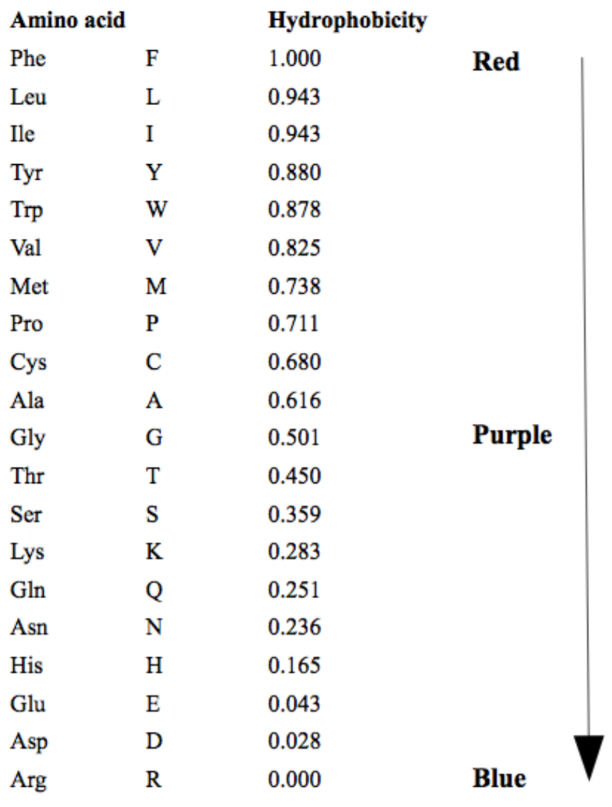 hydrophobic and hydrophilic amino acids