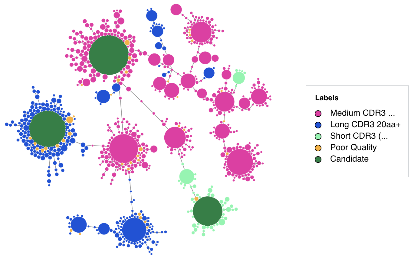 labelled graphs.png